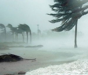 A beach with palm trees and waves as a hurricane blows onto shore.